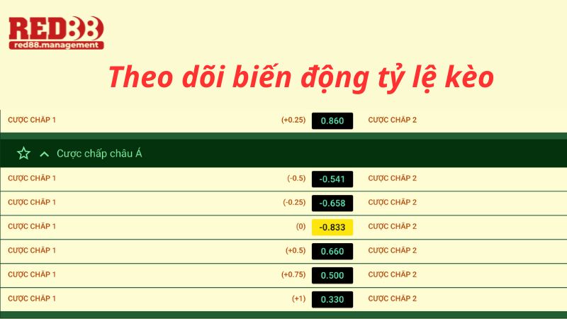 Theo dõi biến động tỷ lệ kèo nhà cái thường xuyên