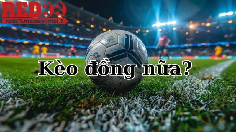 Kèo đồng nửa là sao?