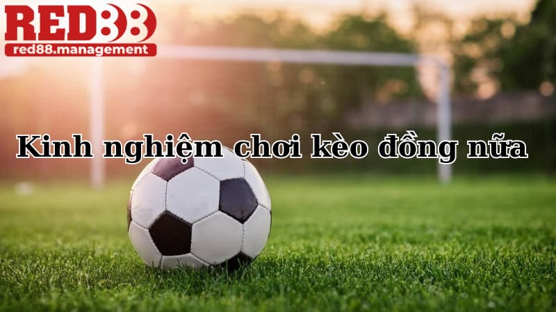 Kinh nghiệm chơi kèo đồng nửa trái từ cao thủ